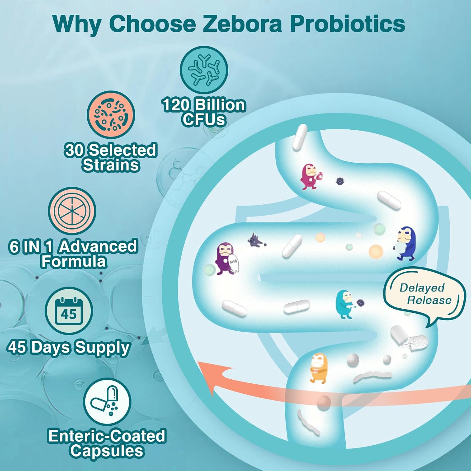 PROBIOTICOS 6 EN 1 ZEBORA 120 BILLONES CFU 30 CEPAS 90 CAPSULAS