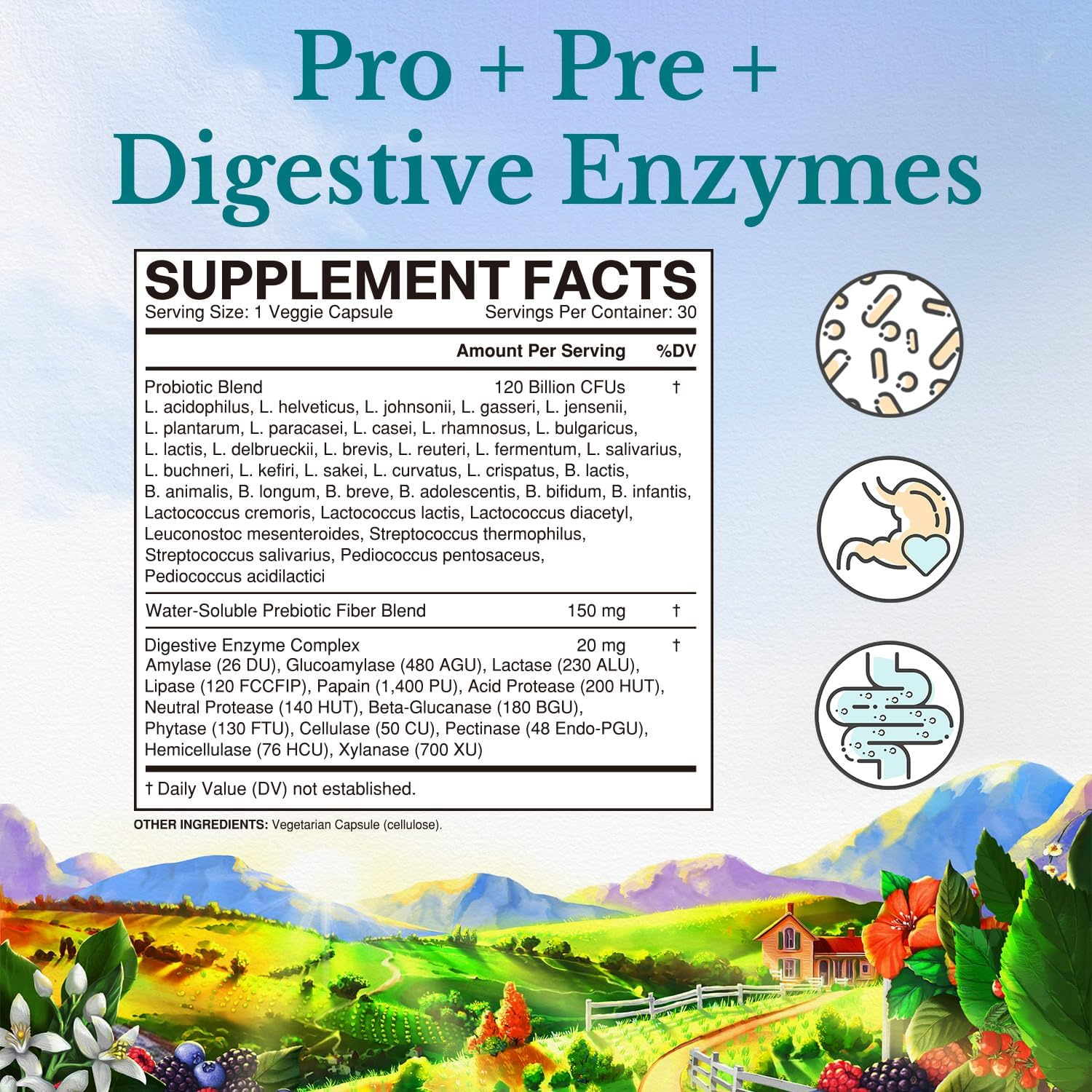 PROBIOTICOS CON ENZIMAS DIGESTIVAS 36 CEPAS 120 BILLONES CFU 30 CAPSULAS VITALITOWN