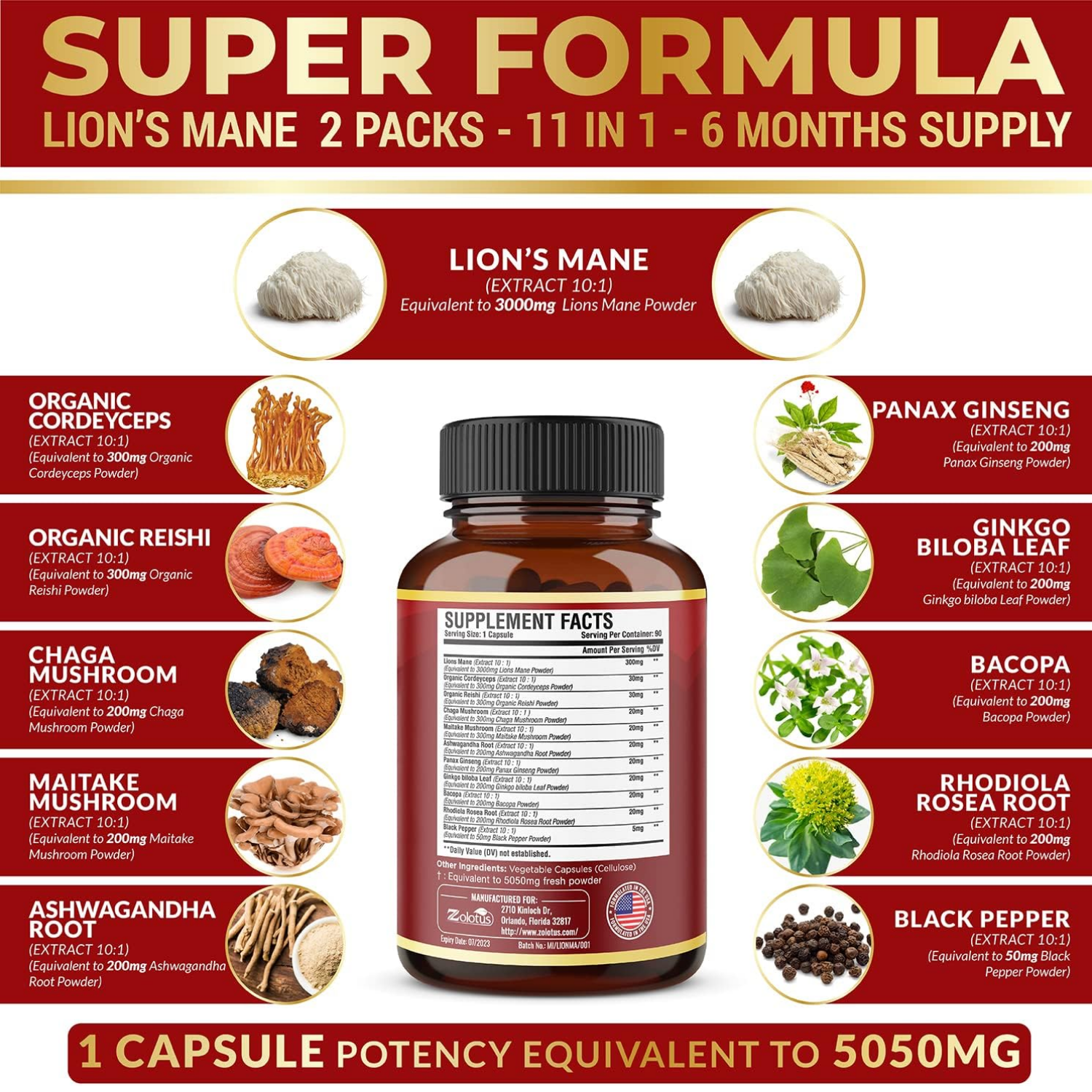 MELENA DE LEON 11 EN 1  5050 MG 90 CAPSULAS ZOLOTUS LIONS MANE