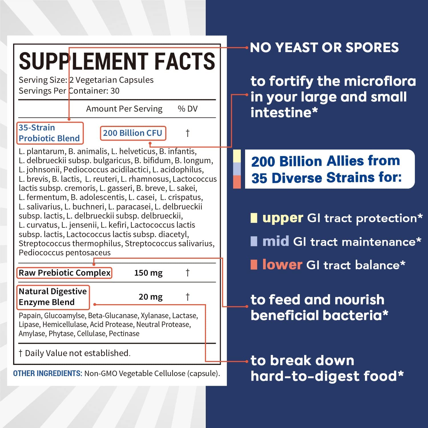 PROBIOTICOS CON ENZIMAS 35 CEPAS 200 BILLONES CFU 60 CAPSULAS SUREBOUNTY