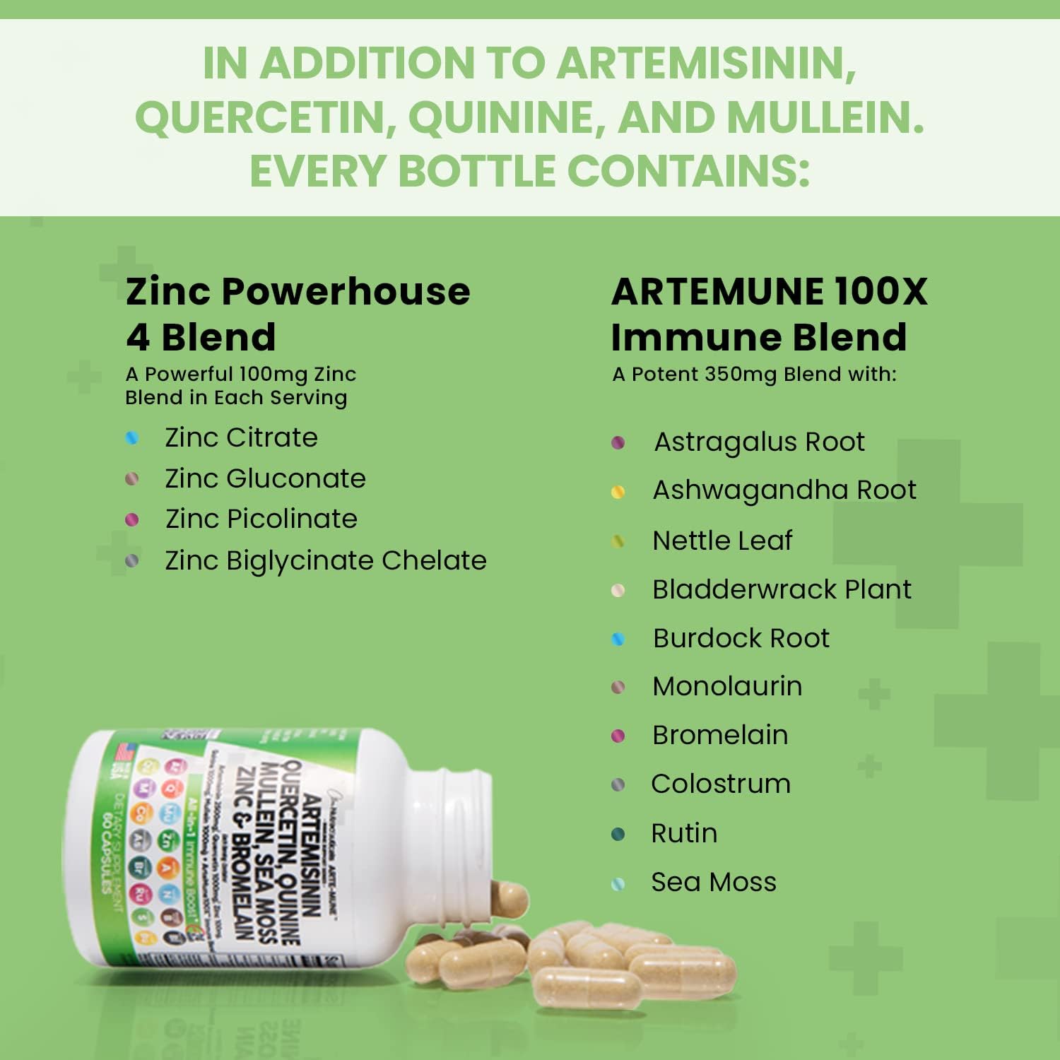 7 EN 1 ARTEMISININA 2500 MG + QUERCETINA 1000 MG + QUININA 1000 MG + GORDOLO 1000 MG + MUSGO DE MAR + ZINC 100 MG Y BROMELINA 60 CAPSULAS CLEAN NUTRACEUTICALS