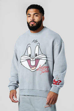 5255 - Looney Tunes Face Crewnecks