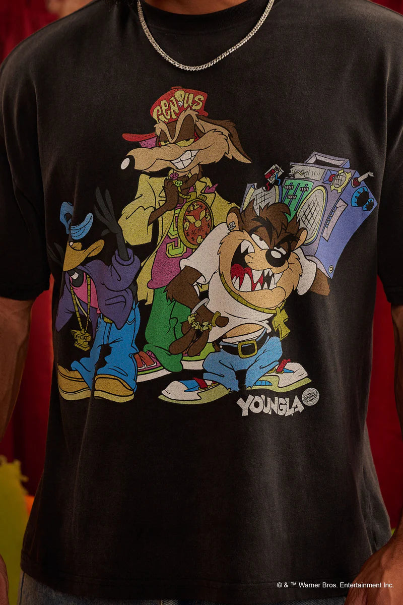 4291 - Looney Tunes Vintage Tees