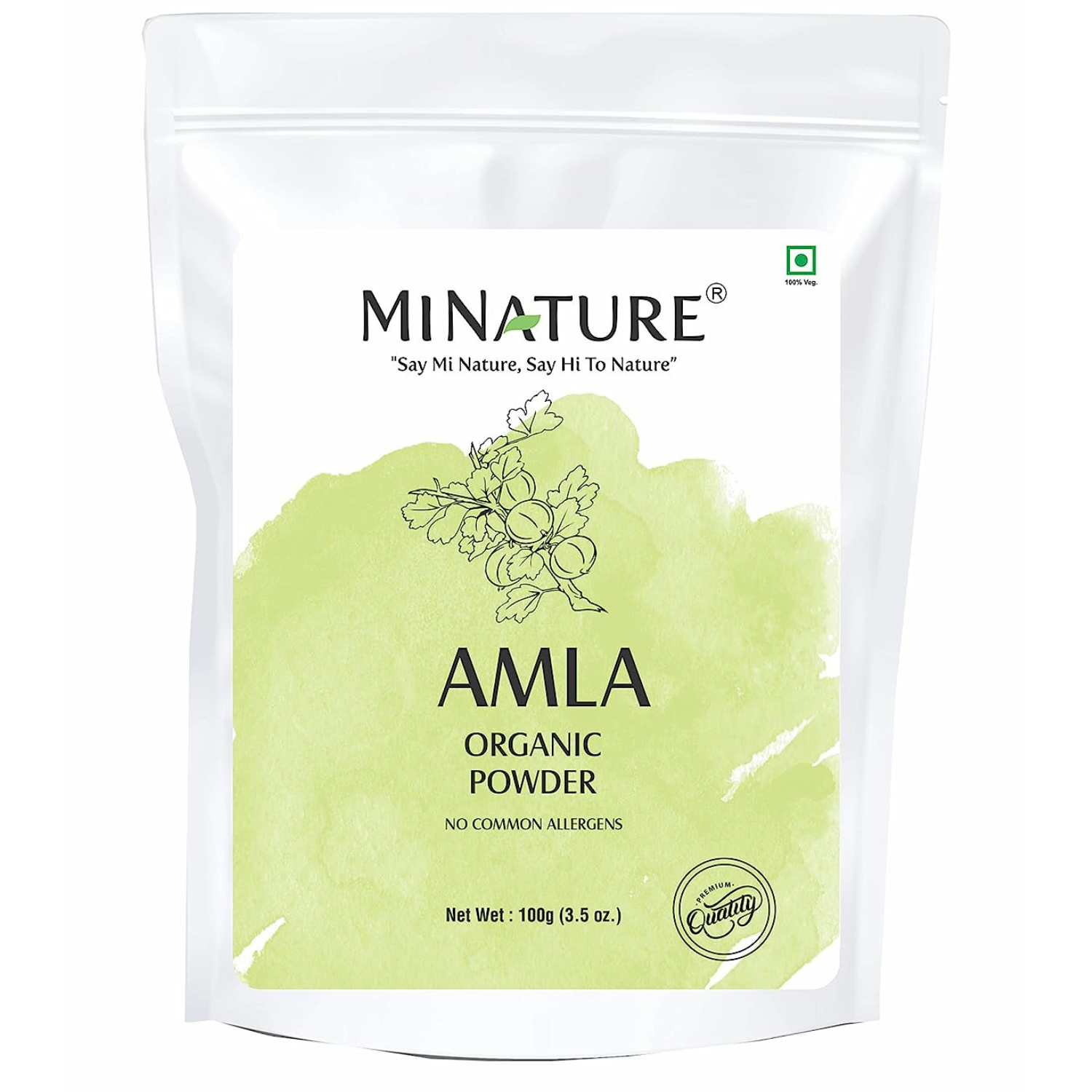 POLVO ORGÁNICO DE AMLA 100 GR  MINATURE AMLA ORGANIC POWDER