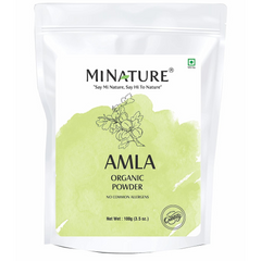 POLVO ORGÁNICO DE AMLA 100 GR  MINATURE AMLA ORGANIC POWDER