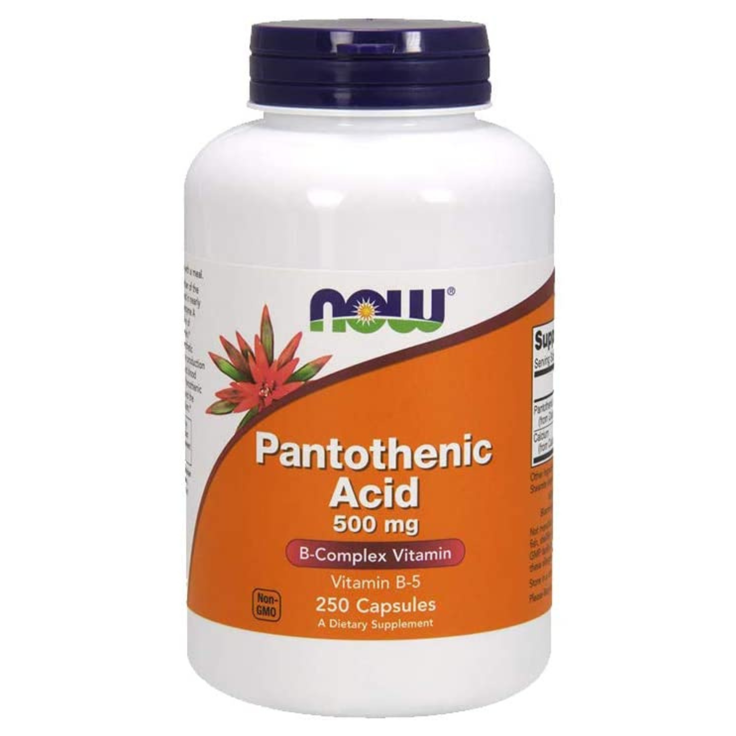 ACIDO PANTOTENICO 500 MG NOW  PANTOTHENIC ACID CON CALCIO 45 MG 250 CAPSULAS